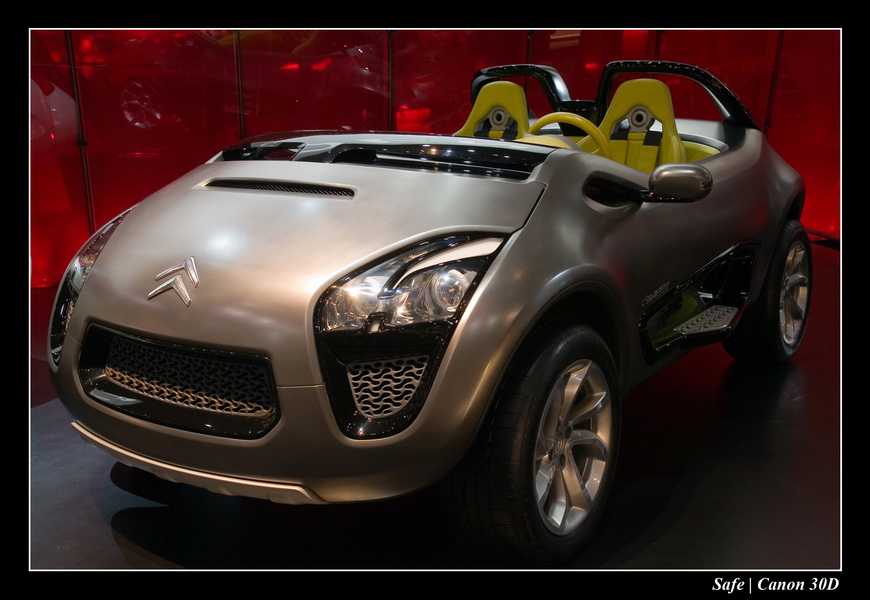 2006 - 10 - Mondial auto Paris 318